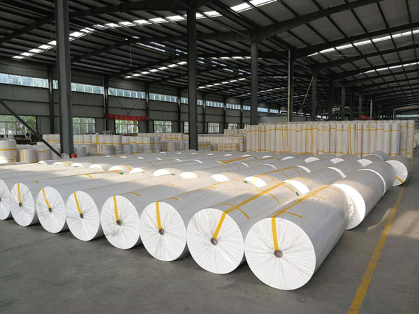 苍南狭缝式涤纶纺粘无纺布